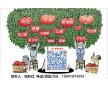 瓊脂 藥用級(jí)瓊脂 國(guó)內(nèi)新品